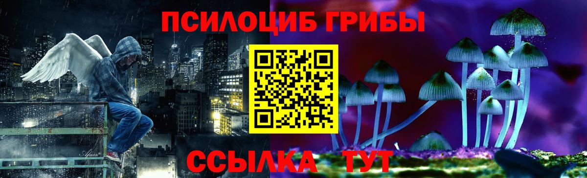 Галлюциногенные грибы Psilocybine cubensis  где купить наркотик  Клинцы  Вход с VPN  Псилоцибиновые грибы MAGIC MUSHROOMS 