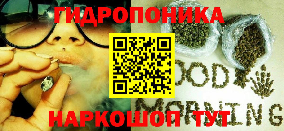 Конопля семена Клинцы